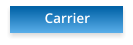 Carrier